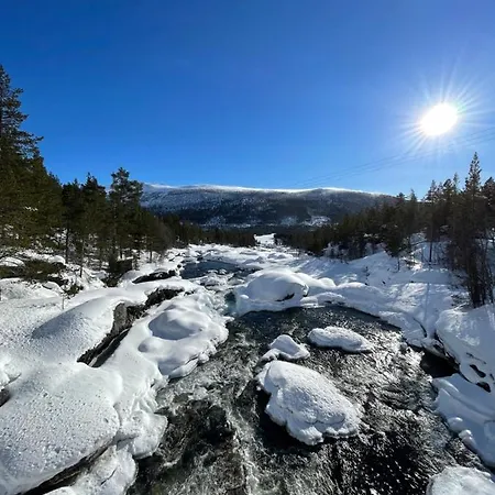Pollfoss Skjak